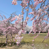 画像381