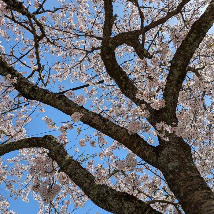 画像393