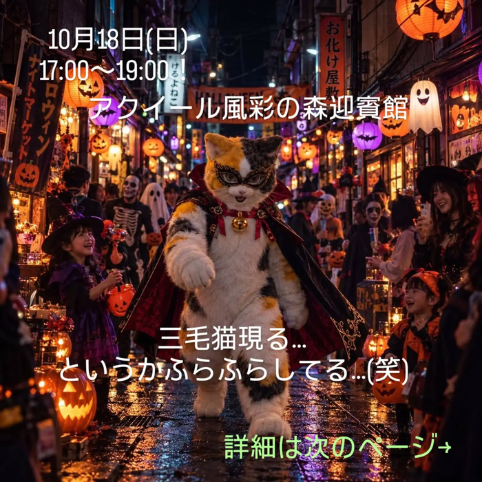 画像430